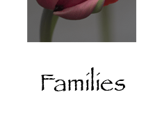 families